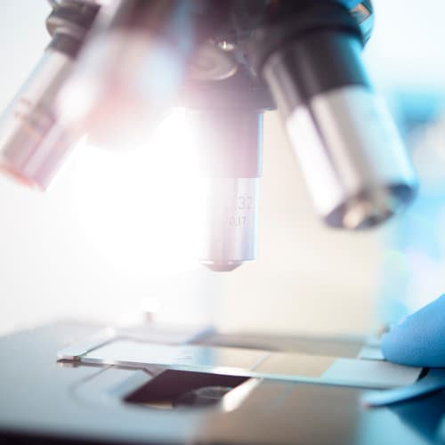 Scientist placing a slide beneath an optical microscope