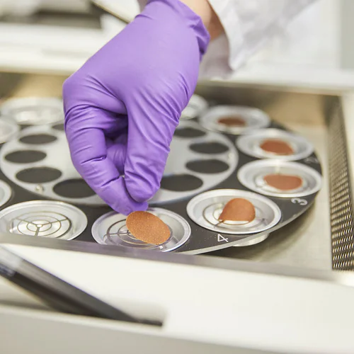 pmi-science-detail-inside-lab-square.jpg