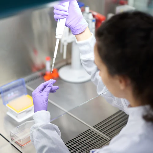 A Scientist with rubber gloves holds a test tube and performs research.