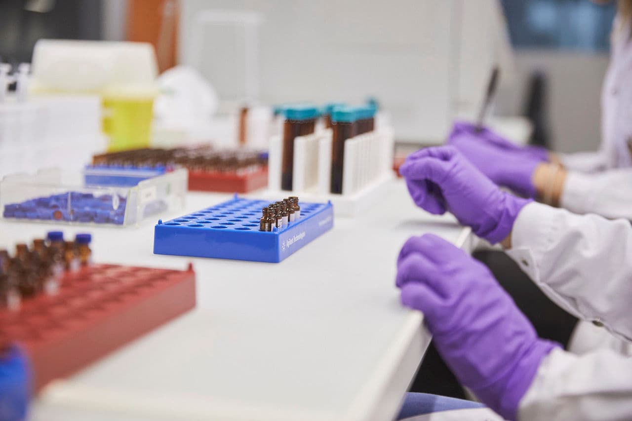 Scientist hands with purple gloves working on sampling