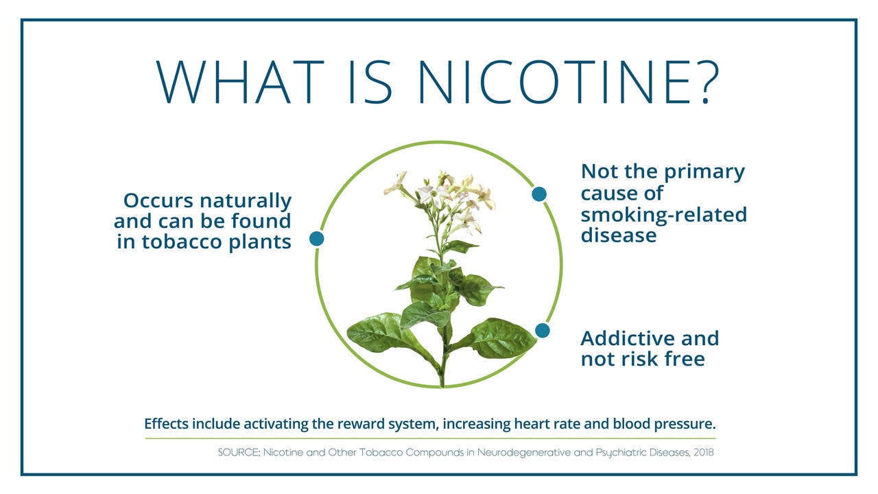 Diagram on what is nicotine, where nicotine comes from and the effects it can have on the body