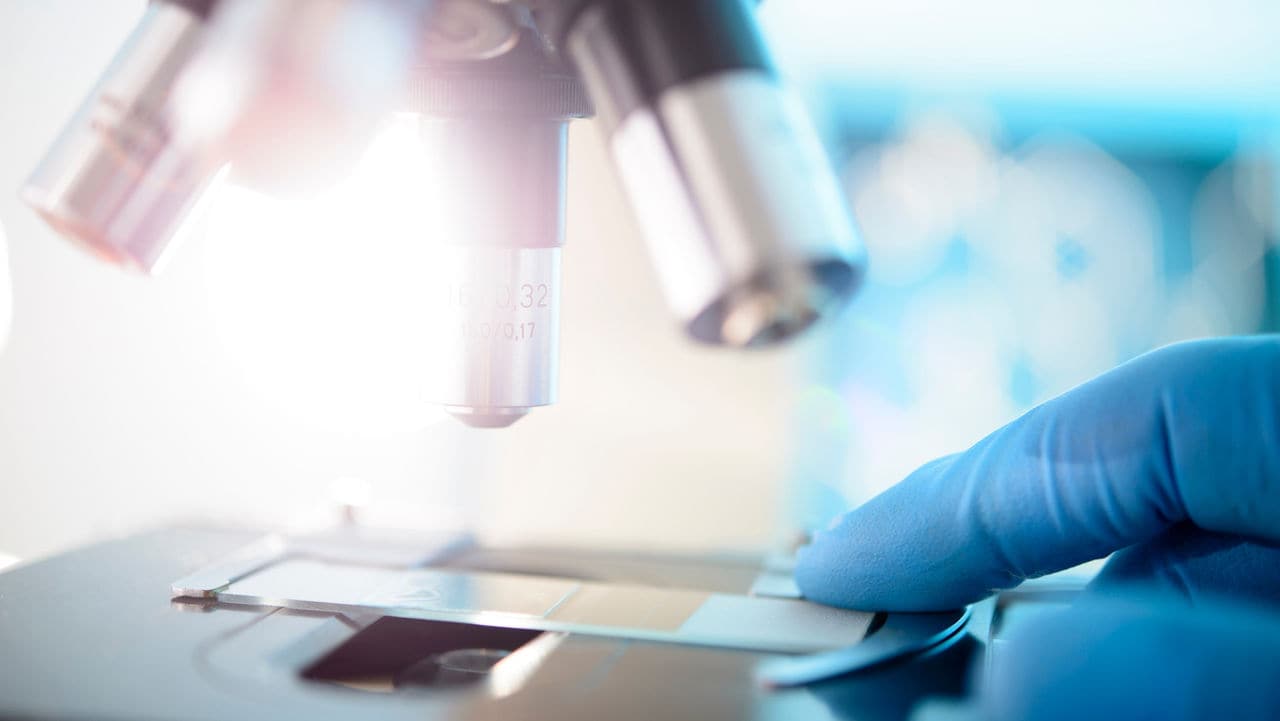 Scientist placing a slide beneath an optical microscope