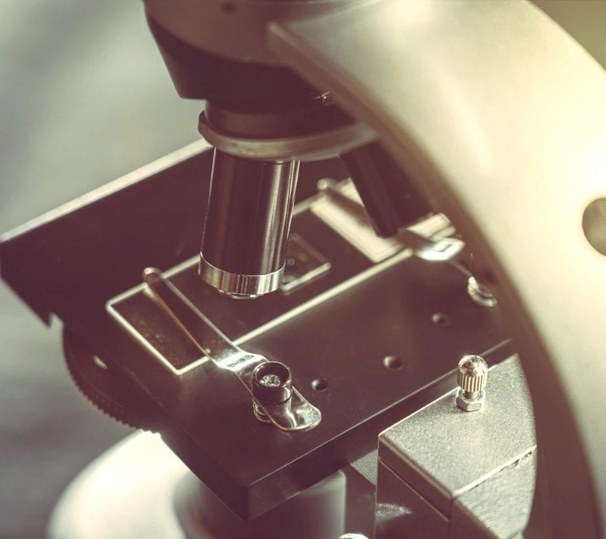 Close-up view of a laboratory microscope.