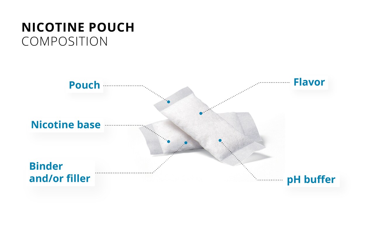 Diagram of nicotine pouches contents