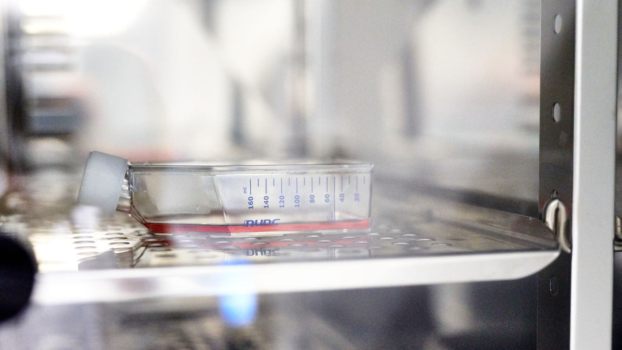 Close-up of a petri dish containing red substance, placed on a laboratory shelf.