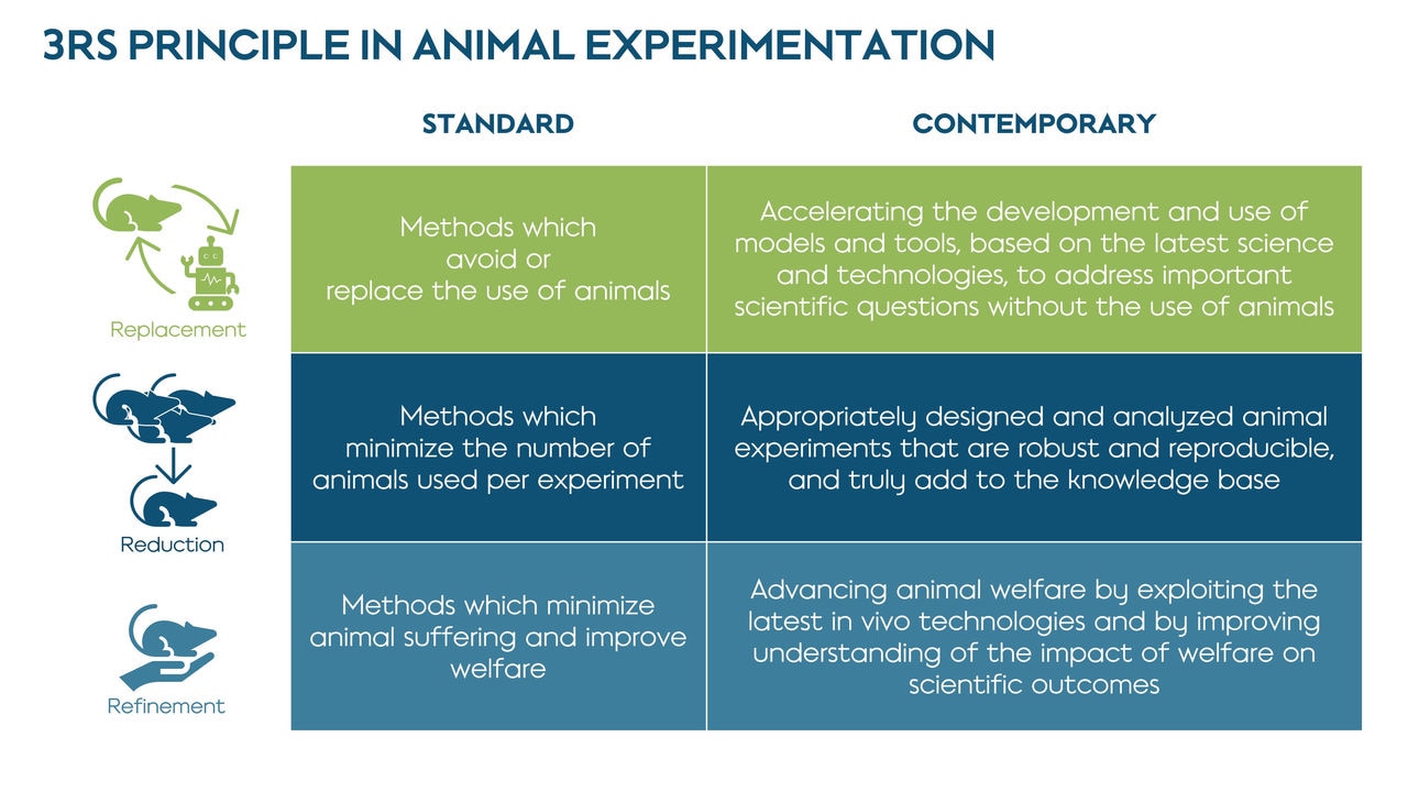 Infographic of the 3RS principle in animal experimentation