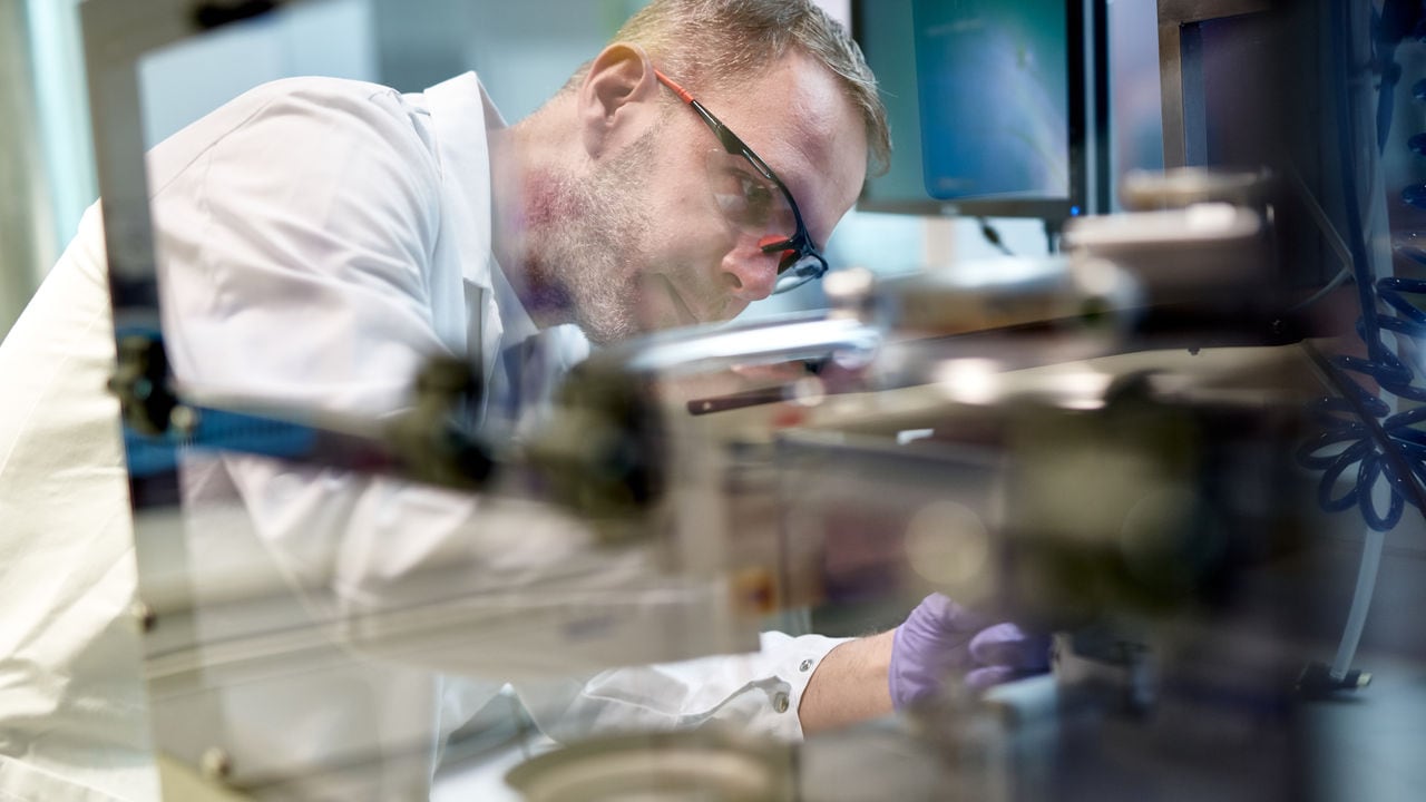 Male scientist working in the PMI laboratory, Cube