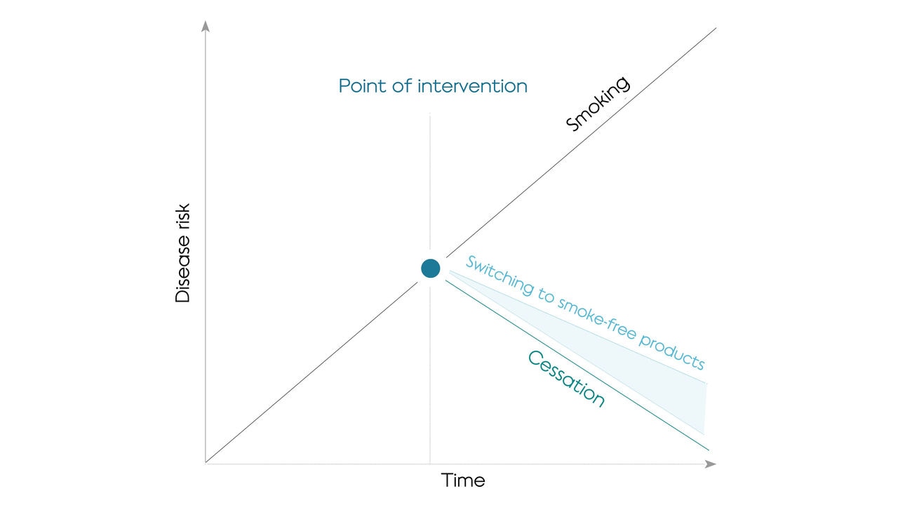 Conceptual depiction of the cumulated risk of smoking