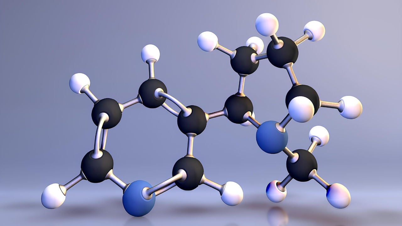 Chemical structure of nicotine