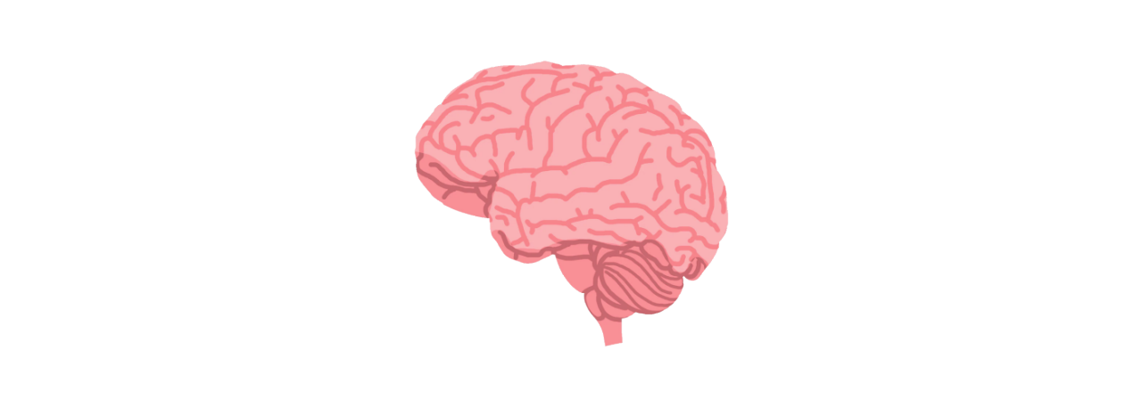 pink graphic image of the human brain 