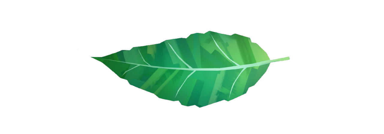 Illustration of a nicotine leaf on a white background.
