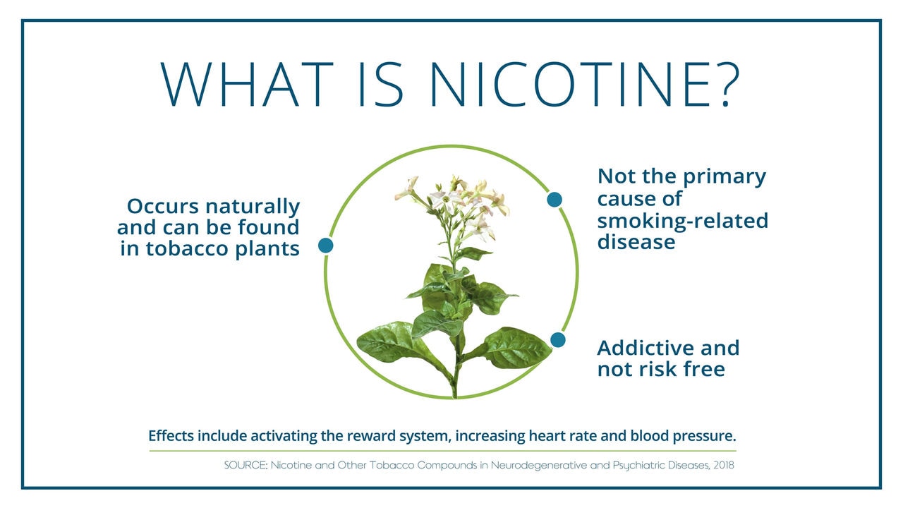 Diagram on what is nicotine, where nicotine comes from and the effects it can have on the body